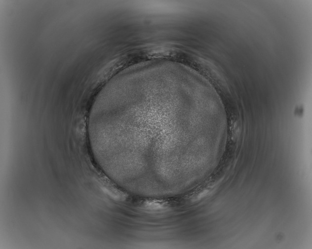 X0000091980753200709271426