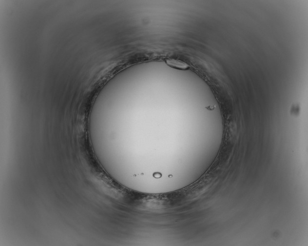 X0000091980756200709271427