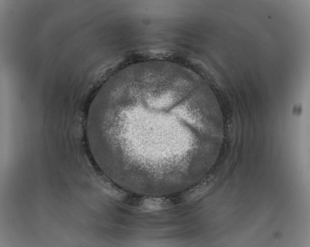 X0000091980757200709271427