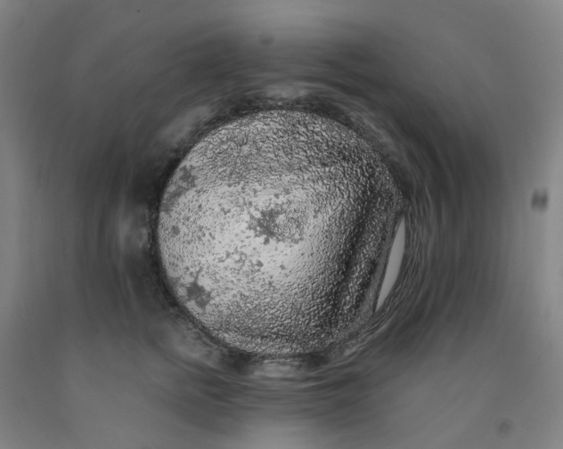 X0000091980758200709271427