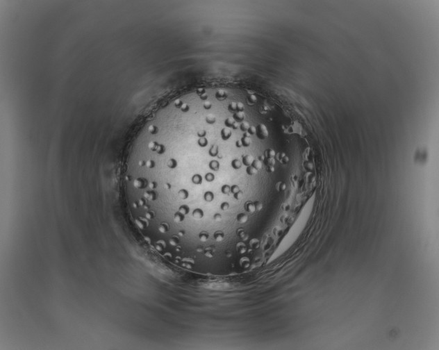 X0000091980759200709271427