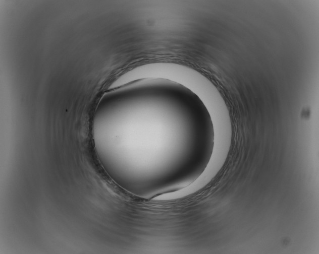 X0000091980760200709271427