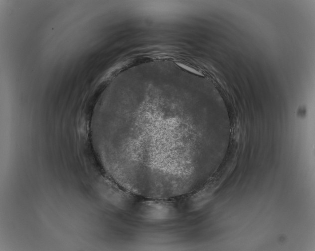 X0000091980763200709271427