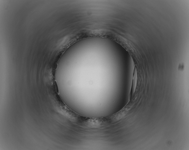 X0000091980764200709271427