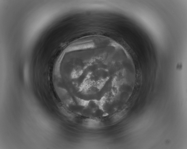 X0000091980765200709271427