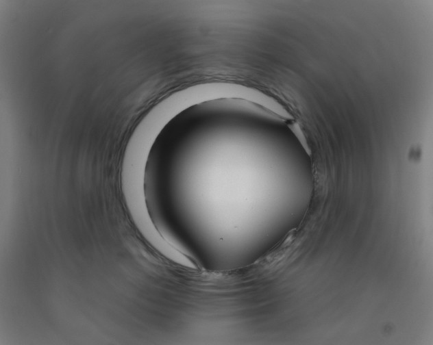 X0000091980766200709271427
