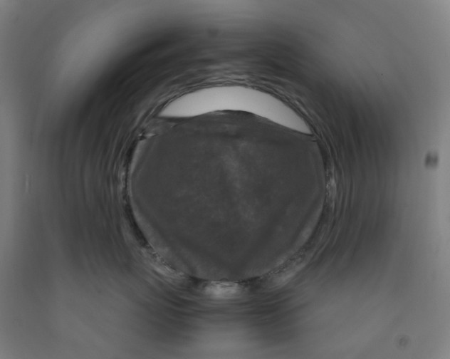 X0000091980767200709271427
