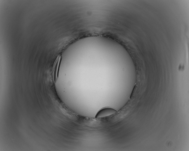 X0000091980768200709271427