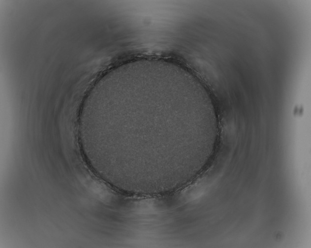 X0000091980769200709271426