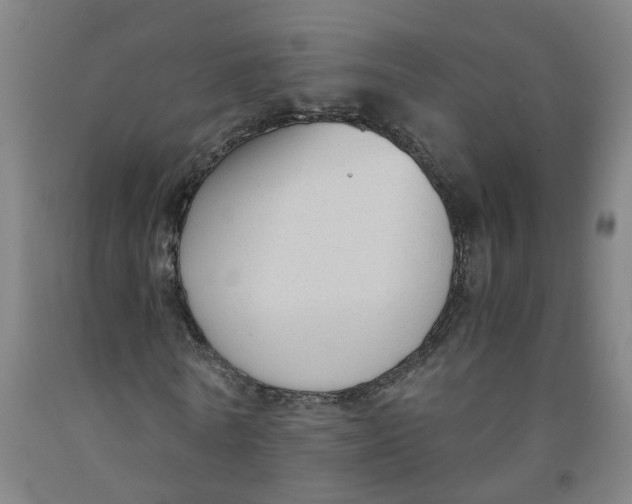 X0000091980770200709271426