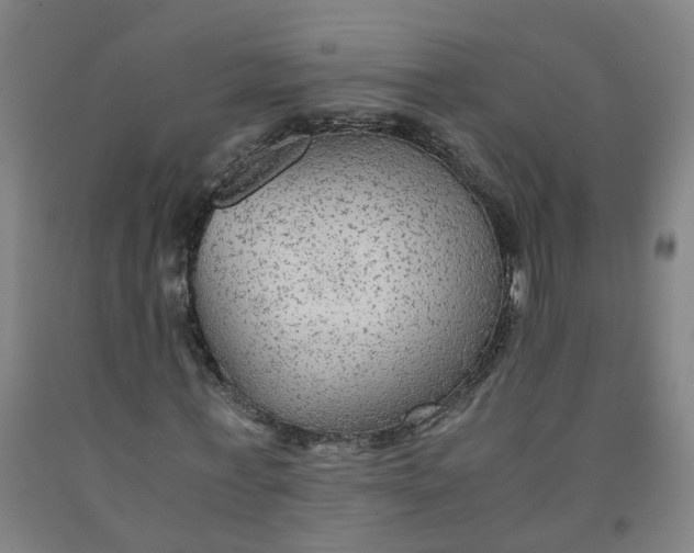 X0000091980771200709271426