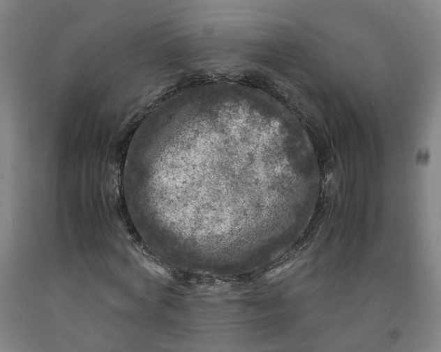 X0000091980772200709271426