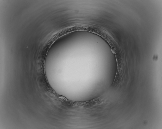 X0000091980773200709271426