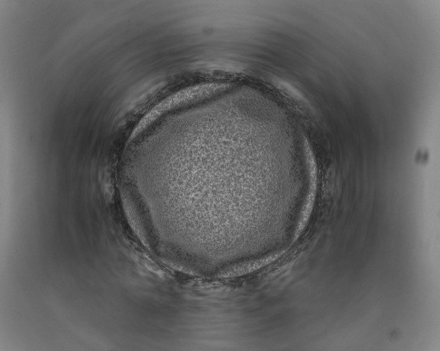 X0000091980774200709271426