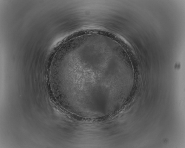 X0000091980775200709271426