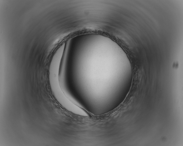 X0000091980776200709271426