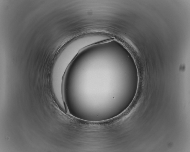 X0000091980777200709271426
