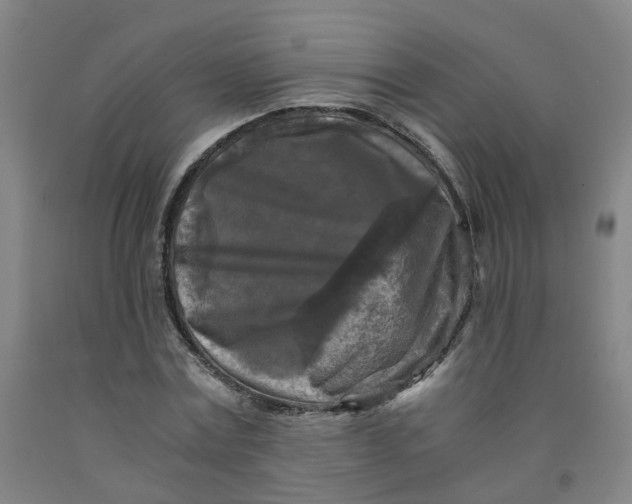 X0000091980779200709271426