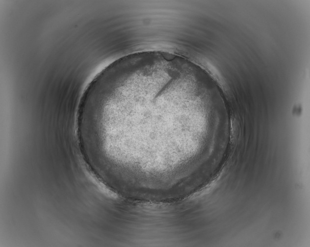 X0000091980780200709271426