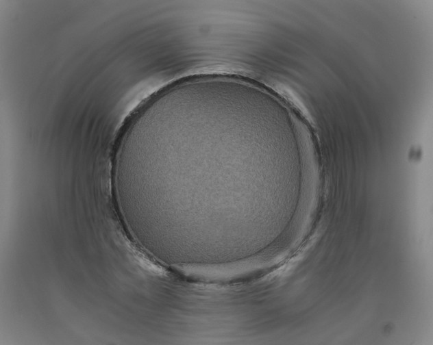 X0000091980781200709271426