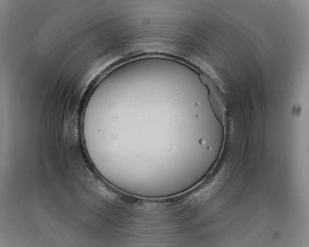 X0000091980782200709271426