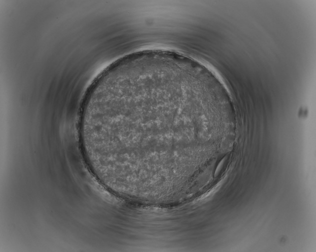 X0000091980783200709271426