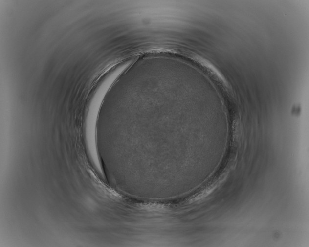 X0000091980785200709271426