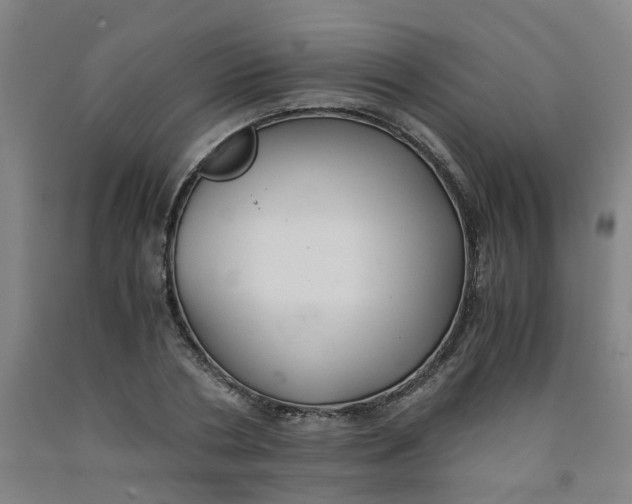 X0000091980786200709271426