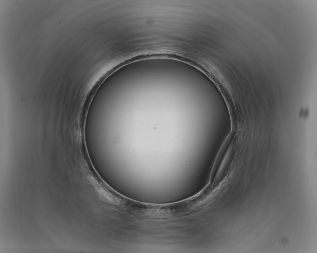 X0000091980789200709271426