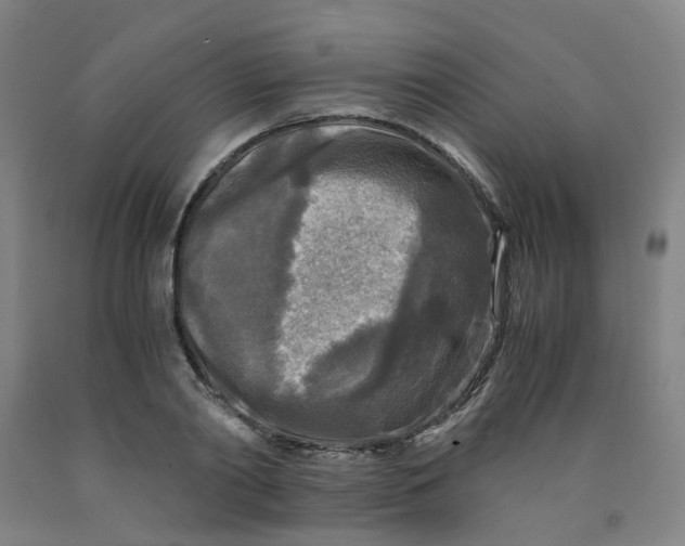 X0000091980790200709271426