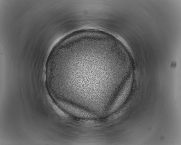 X0000091980791200709271426