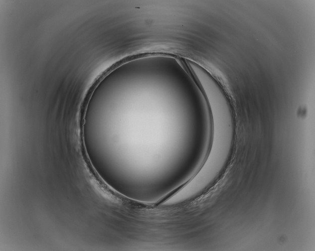 X0000091980792200709271426