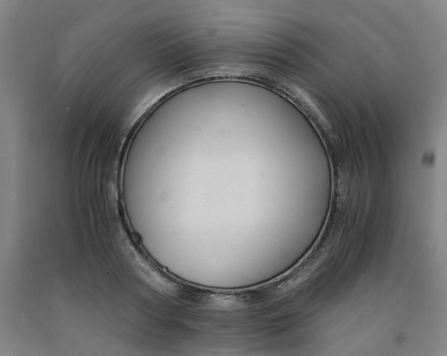 X0000091980794200709271426