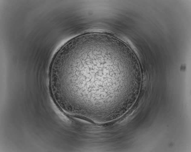 X0000091980795200709271426