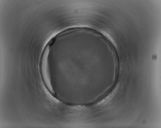 X0000091980797200709271426
