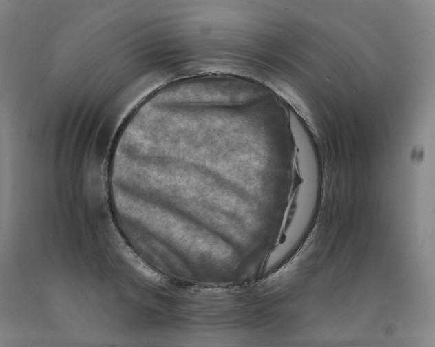 X0000091980798200709271426