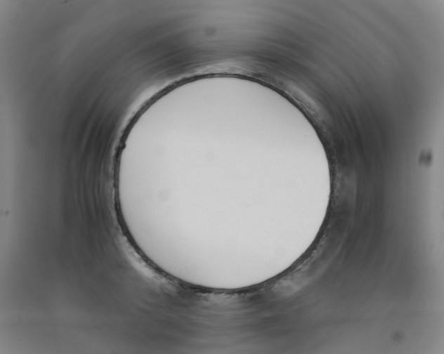 X0000091980800200709271426