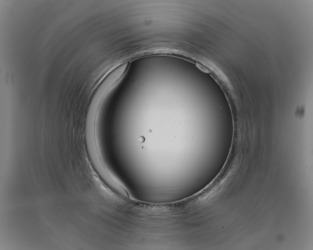 X0000091980801200709271426