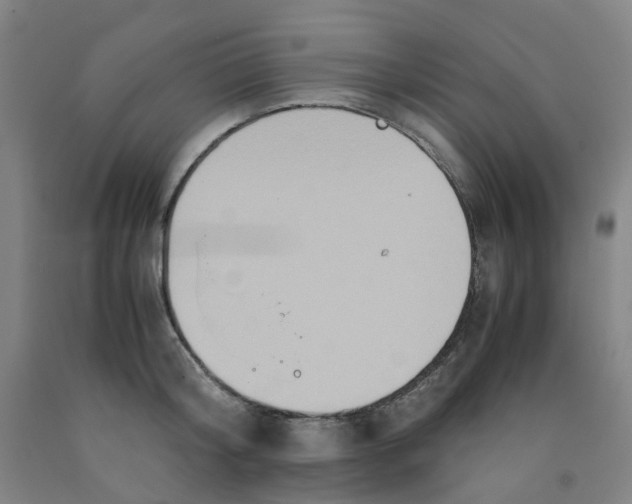 X0000091980804200709271426