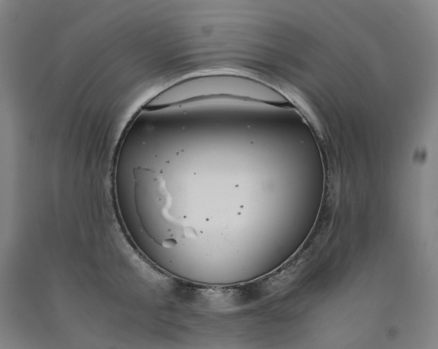 X0000091980805200709271426