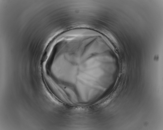 X0000091980806200709271426