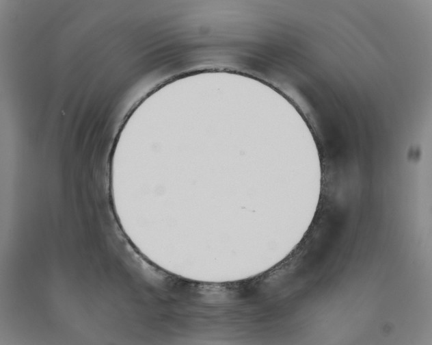 X0000091980807200709271426
