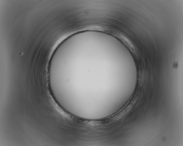 X0000091980808200709271426