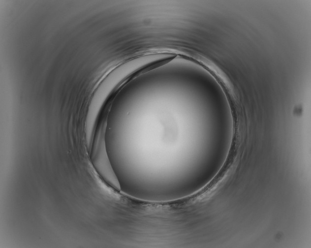X0000091980809200709271426