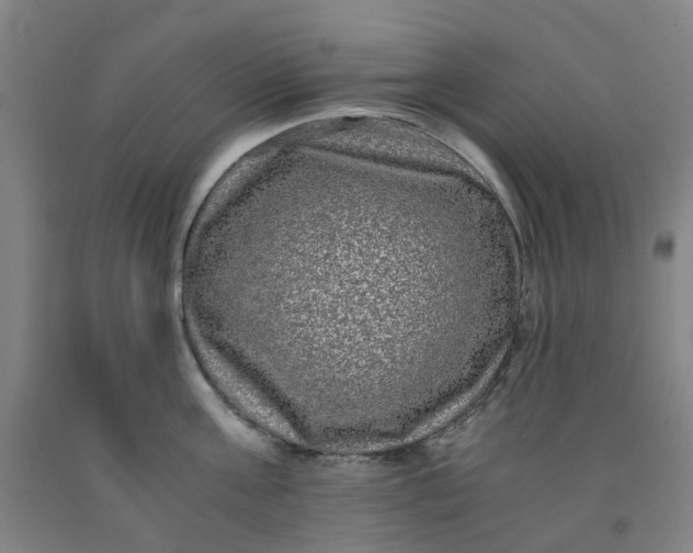 X0000091980811200709271426