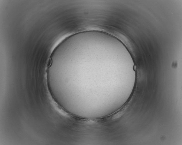 X0000091980814200709271426