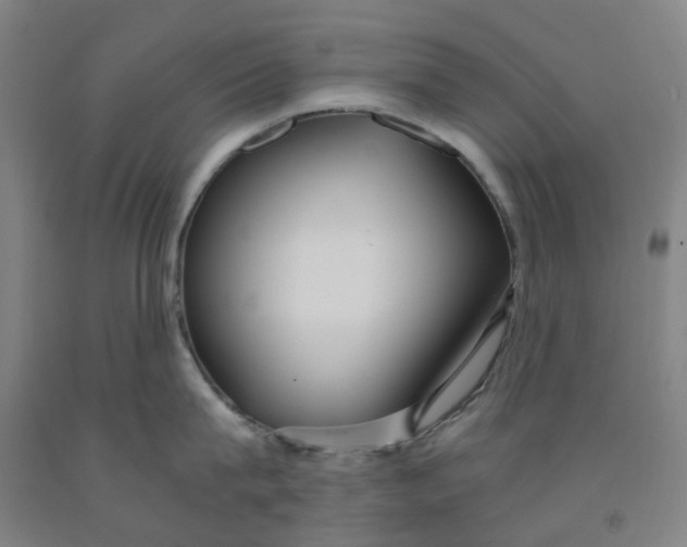 X0000091980815200709271425