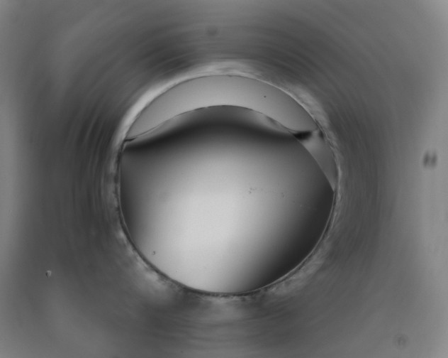 X0000091980816200709271425