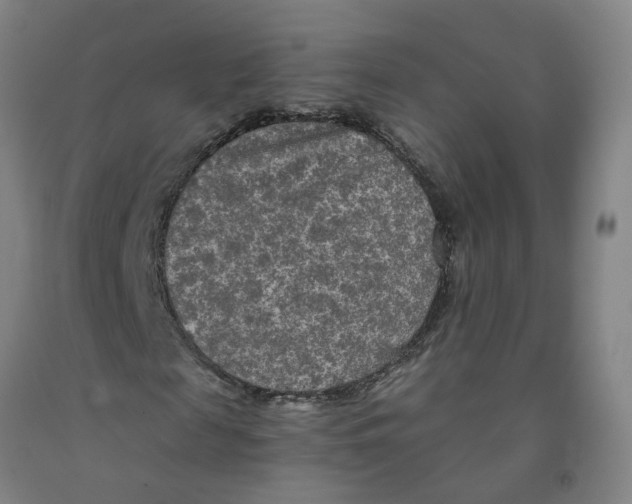 X0000091980817200709271425
