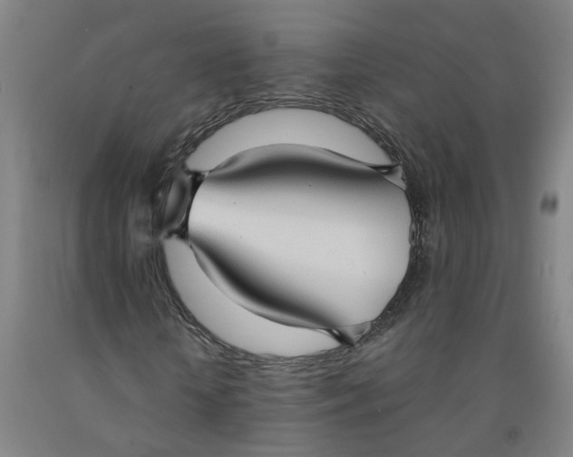 X0000091980818200709271425